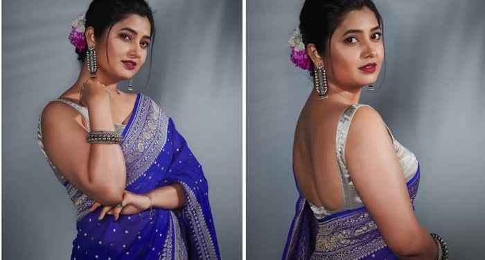 ‘प्राजक्ता माळी’चा साडी लूक व्हायरल