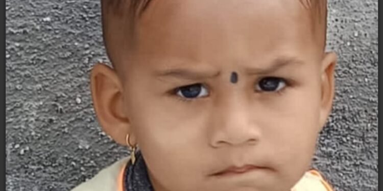 ५ वर्षीय बालकाचा विजेचा धक्क्याने मृत्यू