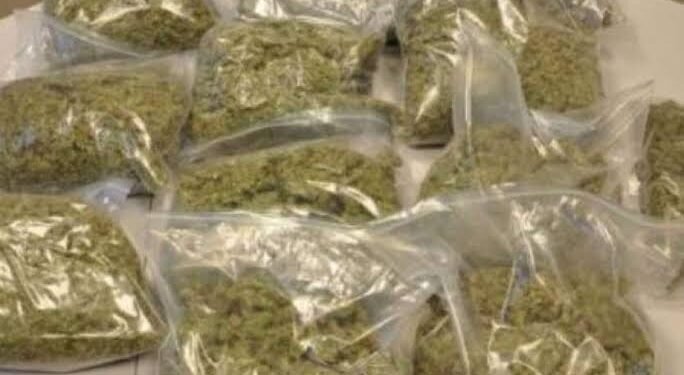 जिल्ह्यात गांजावर मोठी कारवाई