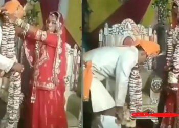 लग्नाच्या मंडपात नवरदेवाची निसटली पँट ; व्हिडीओ घालतोय सोशल मीडियावर धुमाकूळ