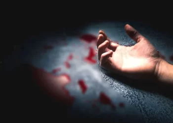 लहान भावाने घेतला मोठ्या भावाचा जीव