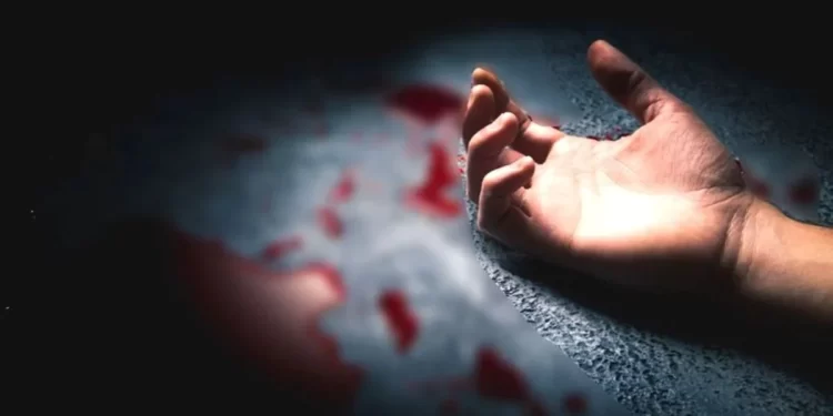 लहान भावाने घेतला मोठ्या भावाचा जीव