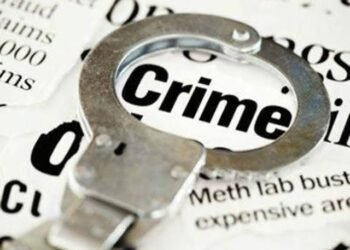 मोठी कारवाई ! २० लाखांचा गुटखा जप्त