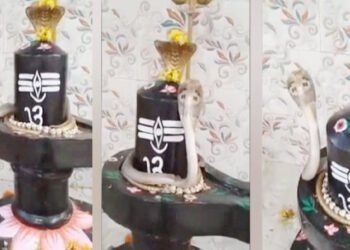 शिवलिंगाला वेटोळे घालून नागराजाचे नृत्य