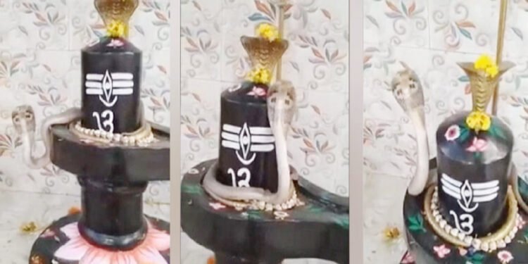 शिवलिंगाला वेटोळे घालून नागराजाचे नृत्य