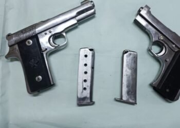 गावठी कट्टा घेऊन दहशत माजविणाऱ्यास अटक