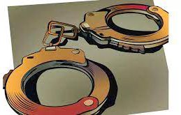 पेट्रोलपंप चालकाची १२ लाखात फसवणूक ; गुन्हा दाखल