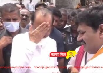 आजीबाईंची तक्रार ऐकून अजित पवारांनी का मारला कपाळावर हात