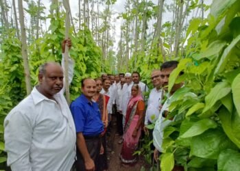 पानतांडे वाचविण्यासाठी खासदारांनी कसली कंबर