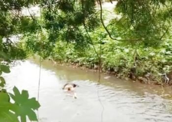 शहरातील नाल्यात वाहून आला मृतदेह