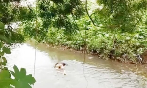 शहरातील नाल्यात वाहून आला मृतदेह