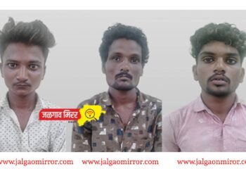 मोटार सायकल चोरटे एलसीबीच्या ताब्यात