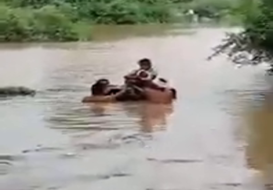 ‘हिरकणी’ :आजारी मुलाचा जीव वाचवण्यासाठी आईने पुरातून काढला मार्ग