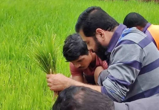 मुख्यमंत्री जेव्हा शेतात राबतात तेव्हा….