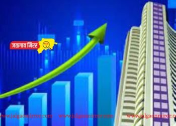 ९ रुपयांच्या या शेअर्सने छप्परफाड केली कमाई