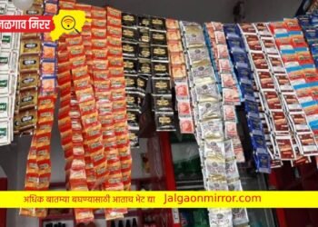 गुटख्याची गाडी पकडली ; चोपडा डीवायएसपींची कारवाई