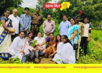 आयुर्वेदिक वृक्षाचे रोपण भेट देऊन दिन साजरा