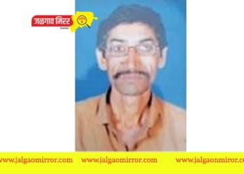 वीज कोसळून मशागत करीत असलेला शेतकरी ठार