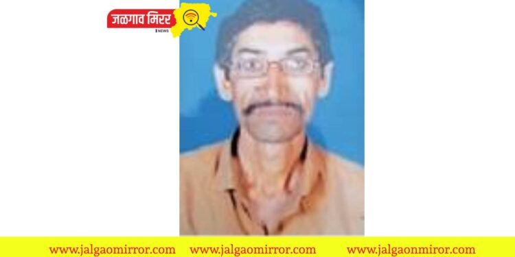 वीज कोसळून मशागत करीत असलेला शेतकरी ठार