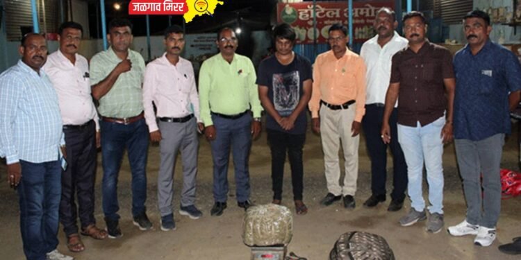 पोलिसांनी रचला सापळा ; आरोपी आला शरण…