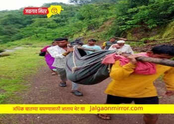गाडी यायला रस्ता नाही म्हणून गरोदर महिलेचा झोळीतून प्रवास