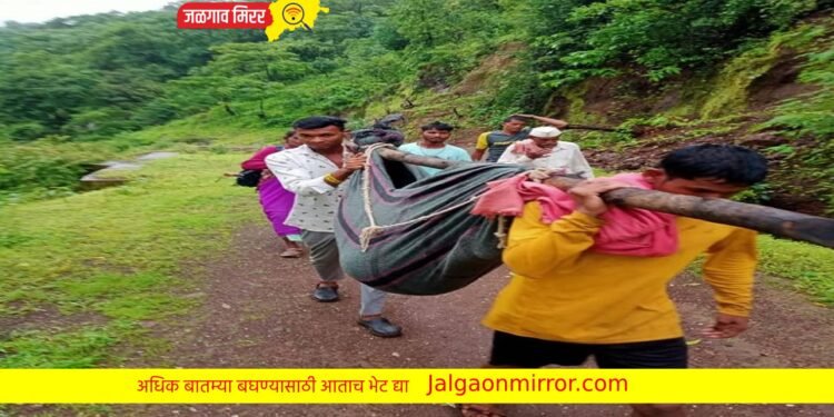 गाडी यायला रस्ता नाही म्हणून गरोदर महिलेचा झोळीतून प्रवास