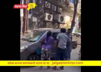 महिलेने रिक्षाचालकास ९० सेकंदात १७ वेळा मारली कानशिलात ; व्हिडीओ तुफान व्हायरल