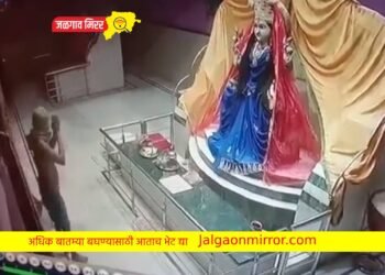 देवीला नतमस्तक झाला मग दानपेटीच लांबविली (व्हिडीओ)