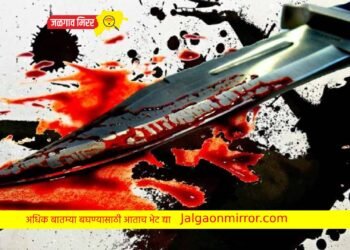 प्रेमप्रकरणातून बारावीतील विद्यार्थ्याची चाकूने भोसकून हत्या ; एकाला अटक