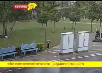 हृदयद्रावक : उभ्या – उभ्या जिवंत माणस झाली निर्जीव पुतळे ; व्हिडीओ व्हायरल