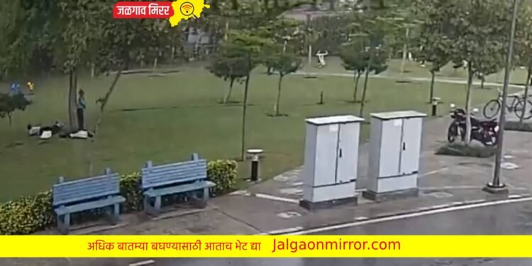 हृदयद्रावक : उभ्या – उभ्या जिवंत माणस झाली निर्जीव पुतळे ; व्हिडीओ व्हायरल