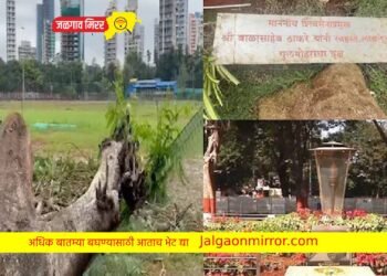 शिवसेना ‘कोसळली’ ; आणि बाळासाहेबांनी शिवतीर्थावर लावले गुलमोहराचे झाडही कोसळले