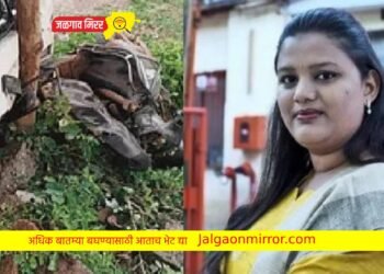 वयाेवृद्धाला वाचवताना खासदारांच्या गाडीचा अपघात ; किरकोळ जखमी