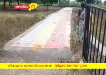 सकाळी उठताच ‘या’ प्रकारामुळे अख्खं गाव हादरलं !