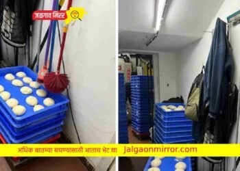 संडास साफ करायचे ब्रश पिझ्झा डोव्हवर लटकवलेले; Viral फोटोवर Domino’s कडून आलं उत्तर