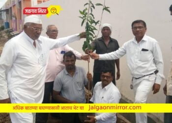 जळगाव शाखेच्यावतीने शहरात वृक्षारोपण
