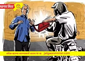 खळबळजनक  : जळगावात कार चालकाला चाकूच्या धाकावर लुटले