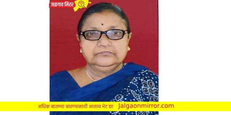 वृद्ध महिला नवसाला पोहोचू शकली नाही ; रस्त्यात अपघातात ठार