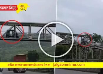 भावाने थेट रिक्षाच नेली स्कायवॉकवर ; व्हिडीओ व्हायरल