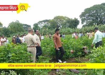 जिल्हा हादरला : यावल तालुक्यात पहाटे उघडकीस आला खून