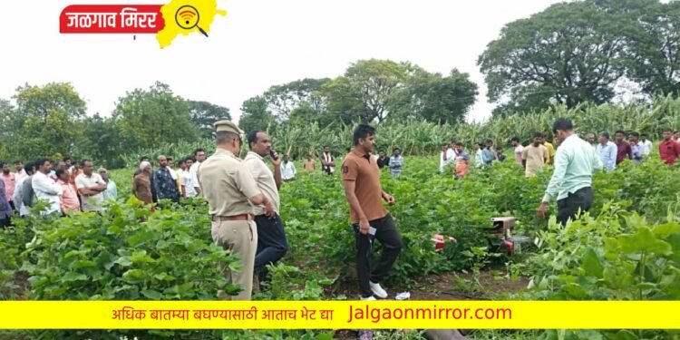 जिल्हा हादरला : यावल तालुक्यात पहाटे उघडकीस आला खून