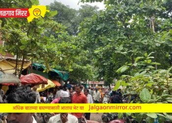 तहसील बाहेर स्टॅम्पवेंडर झाले मुजोर : विद्यार्थ्यांची होतेय लूट