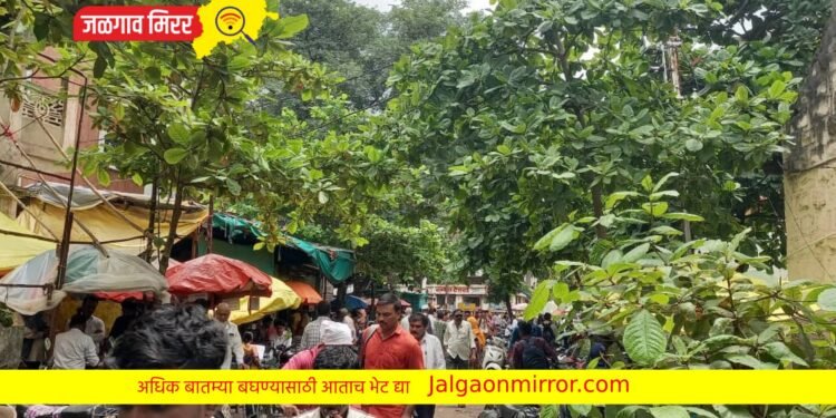 तहसील बाहेर स्टॅम्पवेंडर झाले मुजोर : विद्यार्थ्यांची होतेय लूट