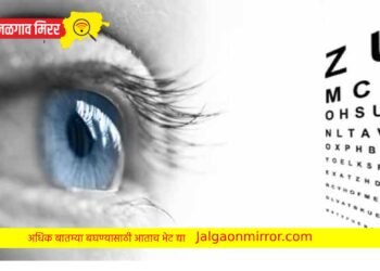 रिद्धी जान्हवी फाउंडेशनतर्फे मोफत नेत्र तपासणी शिबिराचे आयोजन