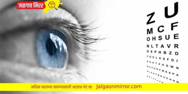 रिद्धी जान्हवी फाउंडेशनतर्फे मोफत नेत्र तपासणी शिबिराचे आयोजन