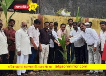 हिवरखेडे शाळेत तहसीलदार नितीन देवरे यांच्याहस्ते वृक्षारोपण