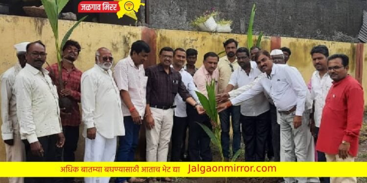 हिवरखेडे शाळेत तहसीलदार नितीन देवरे यांच्याहस्ते वृक्षारोपण