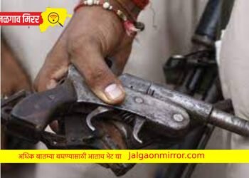 Big Breking : पोलिसांनी सापळा रचून पकडले १२ गावठी कट्टे