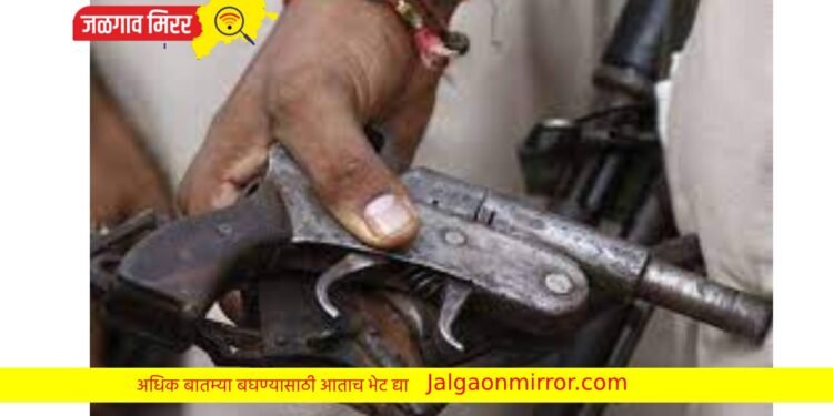 Big Breking : पोलिसांनी सापळा रचून पकडले १२ गावठी कट्टे