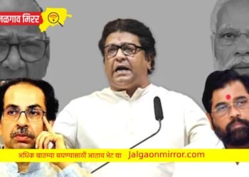 माझी तुलना गद्दारांशी करू नका : राज ठाकरे !